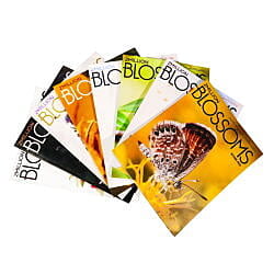 2 Million Blossoms Back Issues 2 Million Blossoms Back Issues