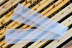 Apivar Strips: 12 Pack Apivar Strips: 12 Pack