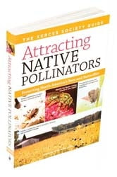 Attracting Native Pollinators