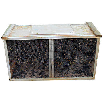 Package Bees 3lb. ETA April 8, 2023