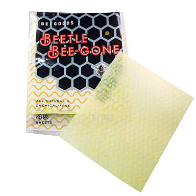 Beetle Bee-Gone Beetle Bee-Gone