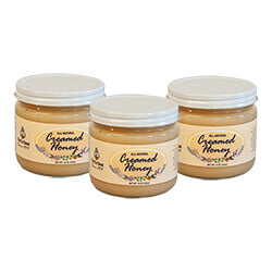 16oz Creamed Honey: 12 Jars