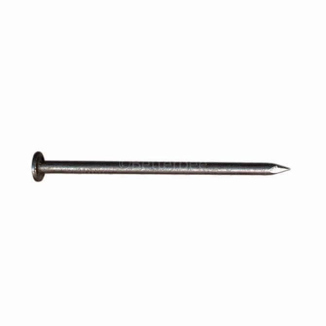 Frame Nails 1-1/4in 1lb