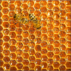 Teaser Honeycomb Puzzle 4.4" Teaser Honeycomb Puzzle 4.4"
