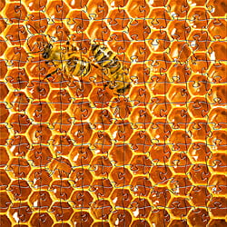 Small Honeycomb Puzzle 7.5"