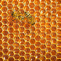 Small Honeycomb Puzzle 7.5" Small Honeycomb Puzzle 7.5"