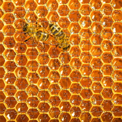 Small Honeycomb Puzzle 7.5" Small Honeycomb Puzzle 7.5"