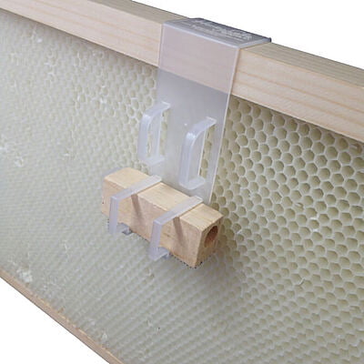 Queen Cage Holder Queen Cage Holder