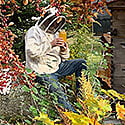 Seasons of Beekeeping Courses Seasons of Beekeeping Courses