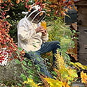 Seasons of Beekeeping Courses Seasons of Beekeeping Courses