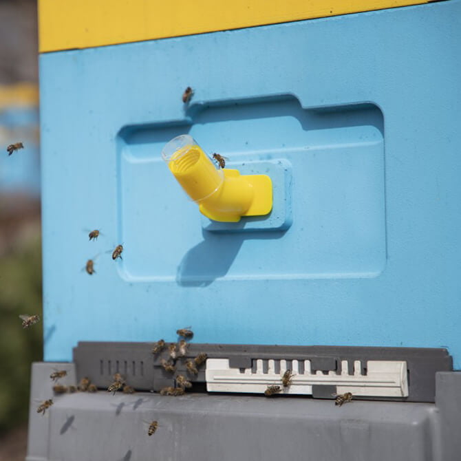 Lyson 8/9 Hive Swarm Alert Lyson 8/9 Hive Swarm Alert